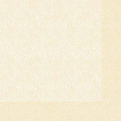 Textu Avorio Tovagliolo 40x40 da 800 pz*