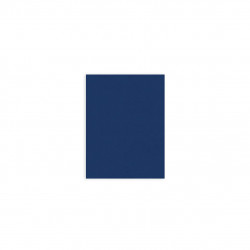 Due Veli Cellulosa Blue Tovagliolo 40x30 Due Veli Cellulosa Blue Tovagliolo 40x30